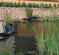 oase bild wassergaerten